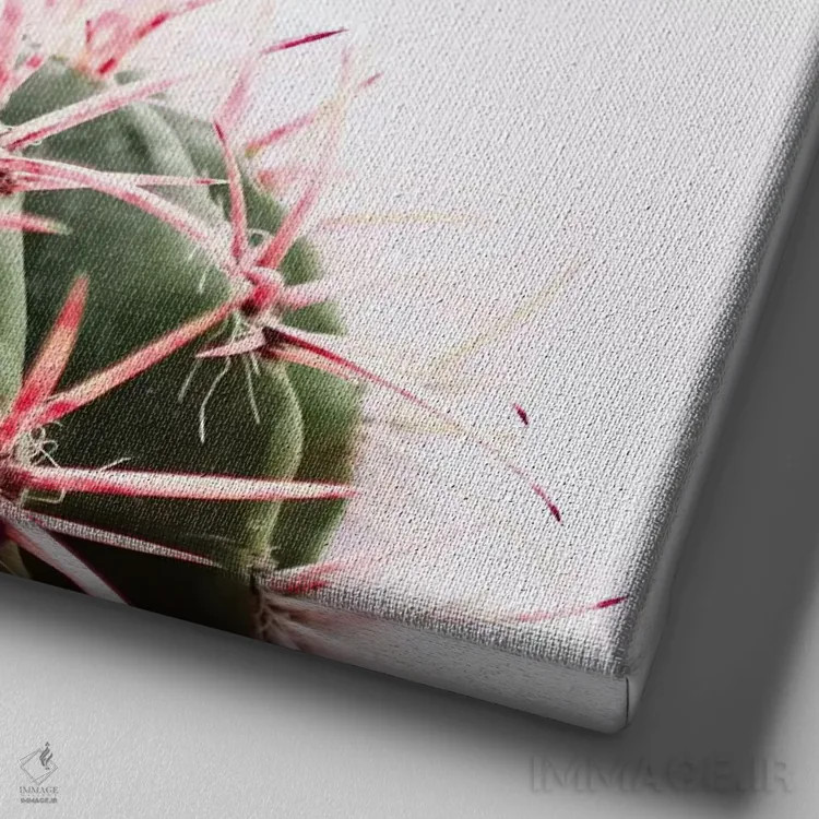 تابلو کاکتوس قرمز اثر اینگرید بدوز - نمای نزدیک بافت بوم