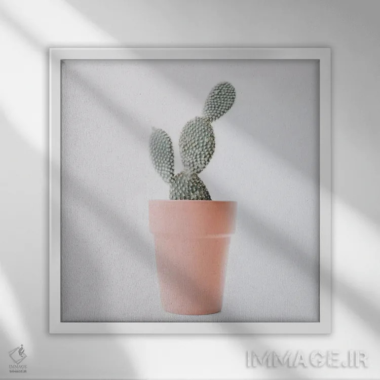 تابلو عشق کاکتوس I اثر اینگرید بدوز - نمای قابدار سفید