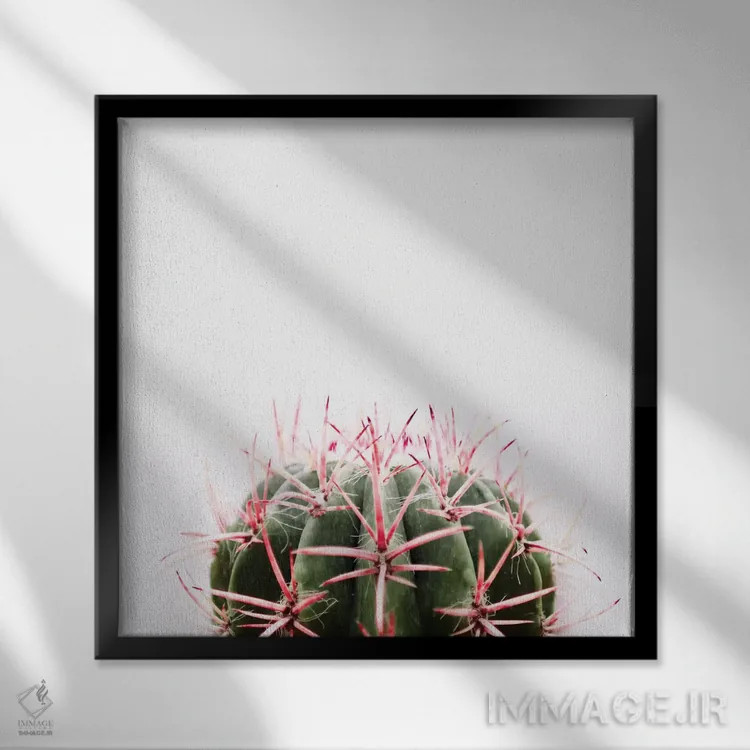 تابلو کاکتوس قرمز اثر اینگرید بدوز - نمای قابدار مشکی
