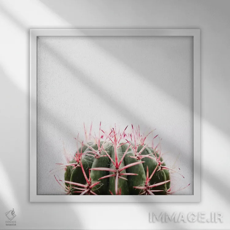 تابلو کاکتوس قرمز اثر اینگرید بدوز - نمای قابدار سفید