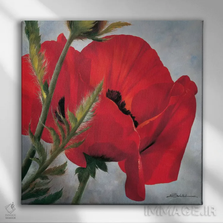 تابلو شقایق قرمز اثر هاینتس شولنهامر - نمای روبهرو روی دیوار