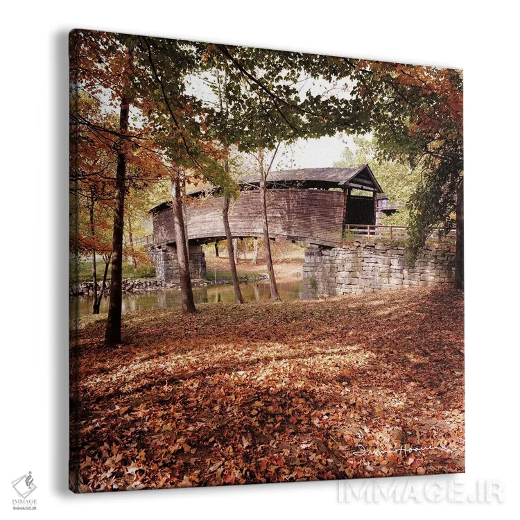 تابلو آبشار گوژپشت اثر اروین هوور - نمای پرسپکتیو محصول