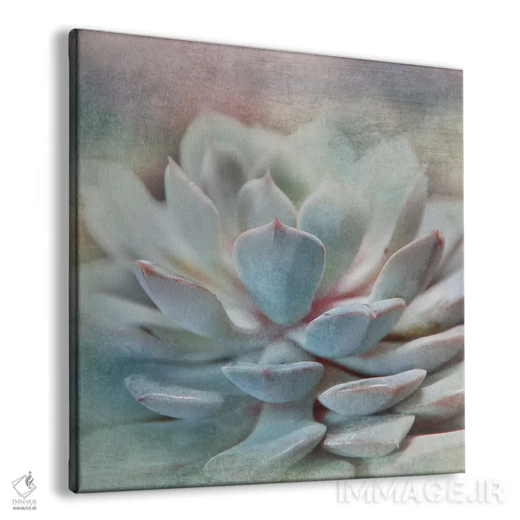 تابلو ساکولنت پاستلی I اثر ایرنه وایس - نمای پرسپکتیو محصول