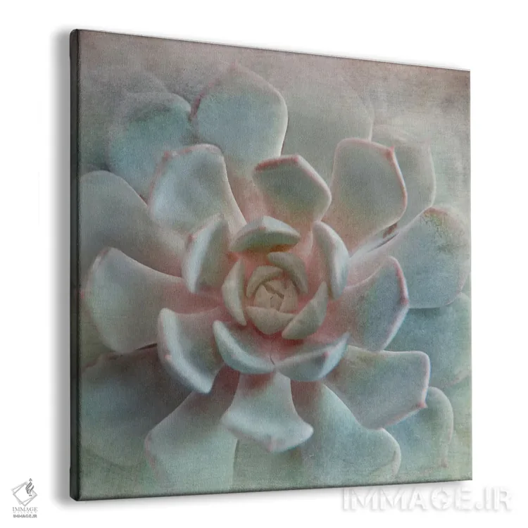 تابلو ساکولنت پاستلی II اثر ایرنه وایس - نمای پرسپکتیو محصول