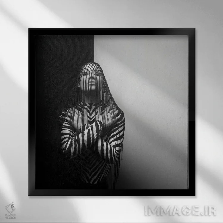 تابلو گورخر اثر امکا - نمای قابدار مشکی