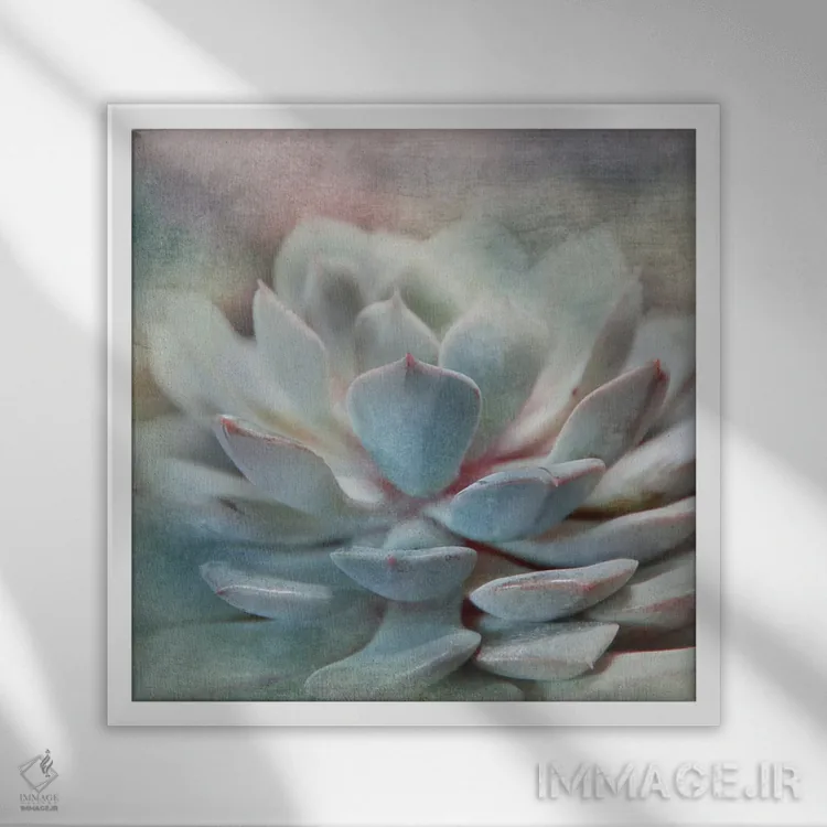تابلو ساکولنت پاستلی I اثر ایرنه وایس - نمای قابدار سفید