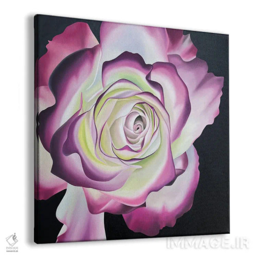 تابلو جشن شاهزاده موناکو اثر ایلدزه اوس - نمای پرسپکتیو محصول