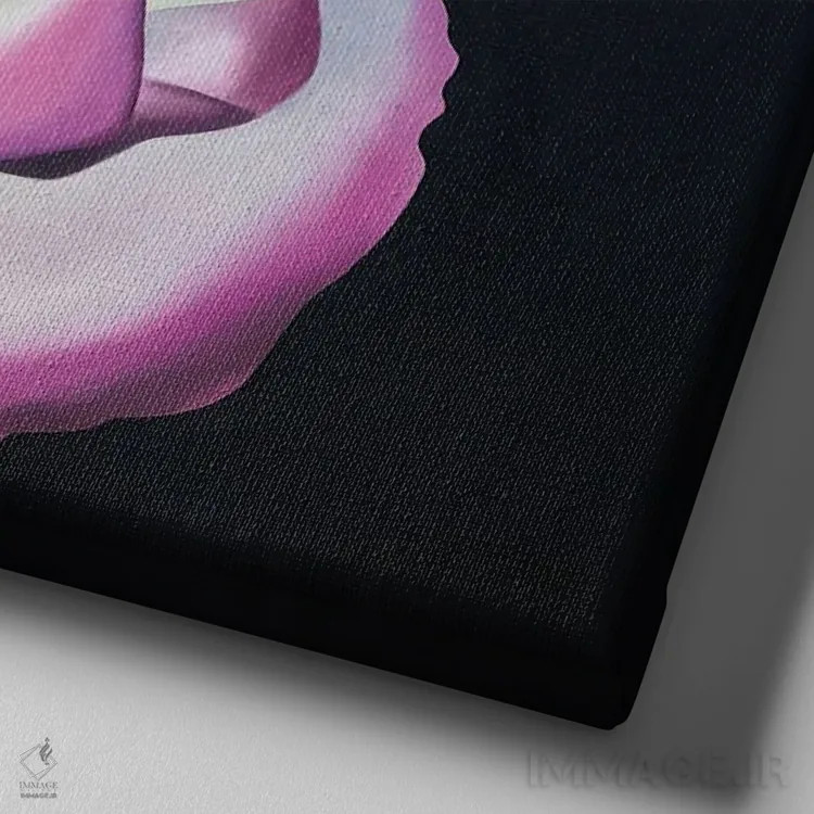 تابلو جشن شاهزاده موناکو اثر ایلدزه اوس - نمای نزدیک بافت بوم