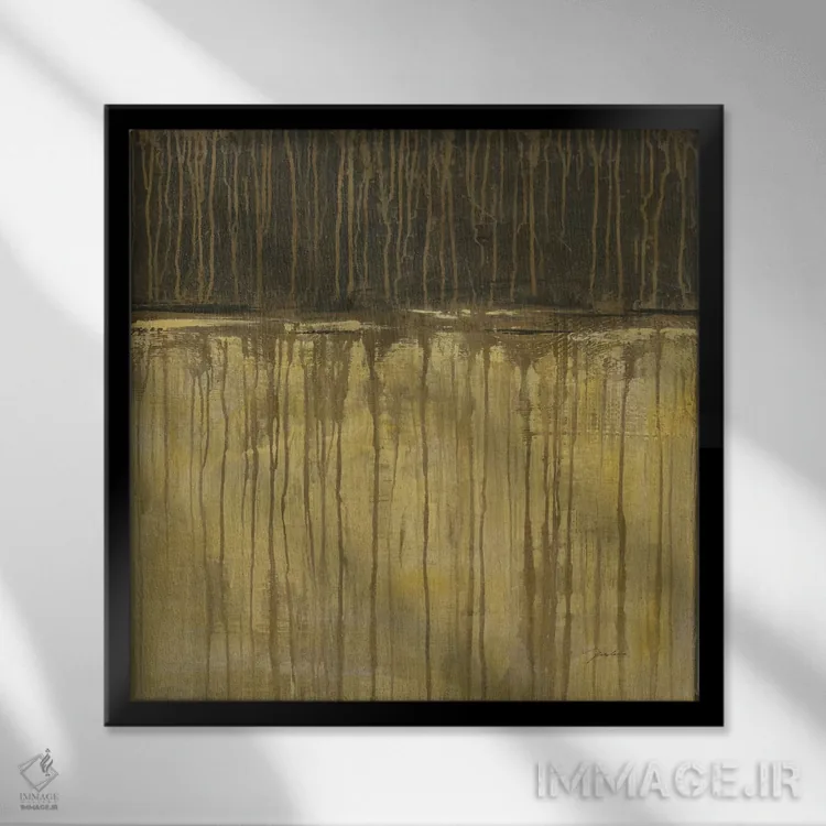 تابلو سیاه و سفید یک اثر لیز جارباور - نمای قابدار مشکی