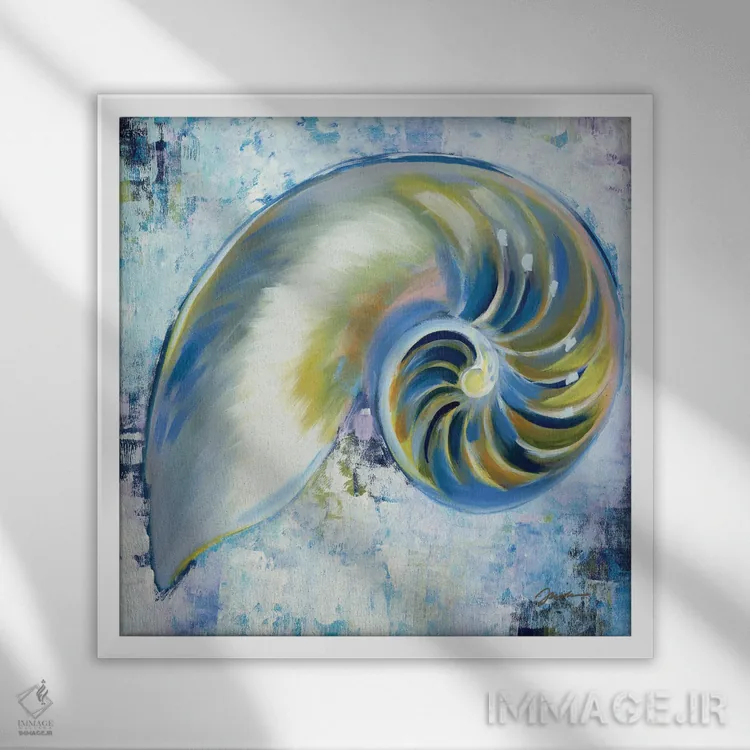 تابلو صدفهای آفتابی ۳ اثر لیز جارباور - نمای قابدار سفید