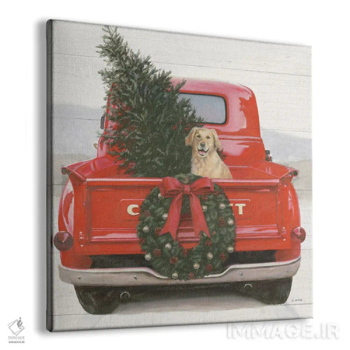 تابلو کریسمس در نواحی مرکزی IV (برش) اثر جیمز وینس - نمای پرسپکتیو محصول