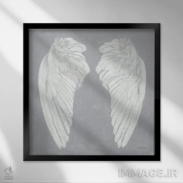 تابلو بالها شماره یک روی خاکستری (برگشته) اثر جیمز وینس - نمای قابدار مشکی