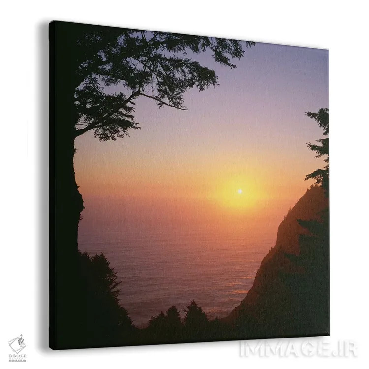 تابلو Oregon. Oswald West State Park, summer sunset viewed from below Neahkanie Mountain." اثر جان بارگر - نمای پرسپکتیو محصول