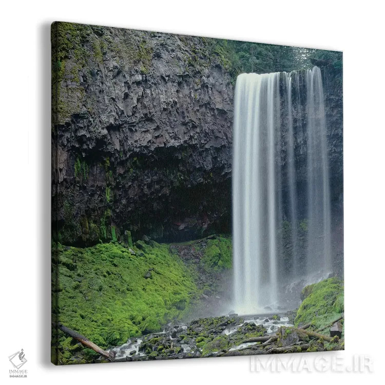 تابلو Tamanawas Falls with moss-covered rocks at it's base is formed" اثر جان بارگر - نمای پرسپکتیو محصول