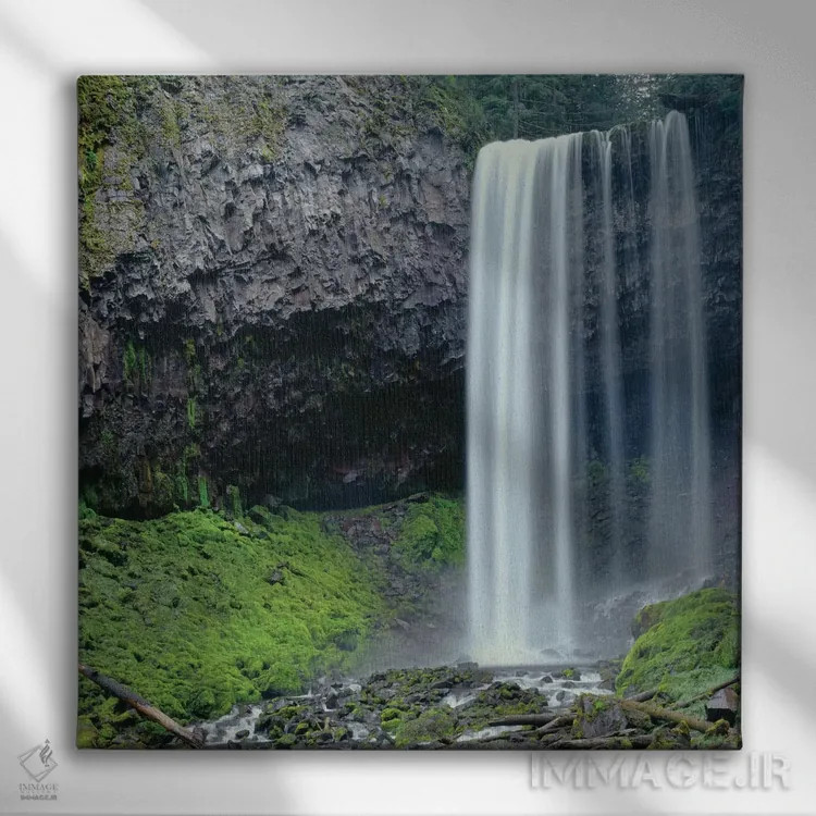 تابلو Tamanawas Falls with moss-covered rocks at it's base is formed" اثر جان بارگر - نمای روبهرو روی دیوار