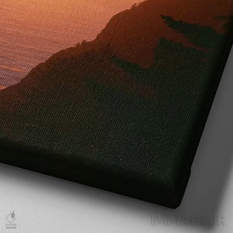 تابلو Oregon. Oswald West State Park, summer sunset viewed from below Neahkanie Mountain." اثر جان بارگر - نمای نزدیک بافت بوم