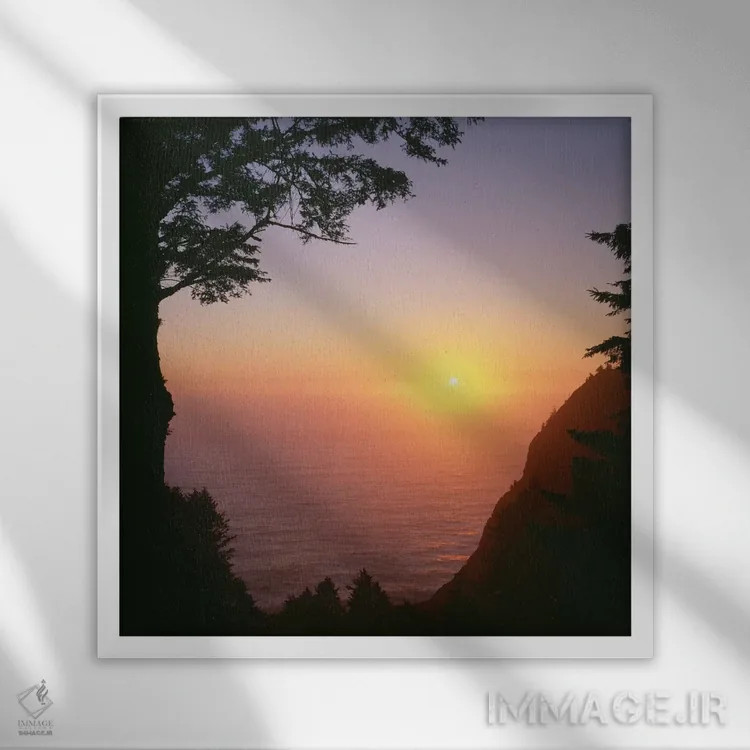 تابلو Oregon. Oswald West State Park, summer sunset viewed from below Neahkanie Mountain." اثر جان بارگر - نمای قابدار سفید
