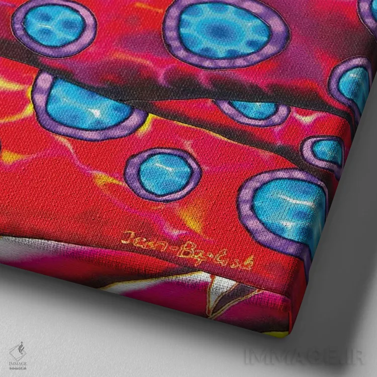 تابلو از نزدیک اثر دنیل ژان-باپتیست - نمای نزدیک بافت بوم