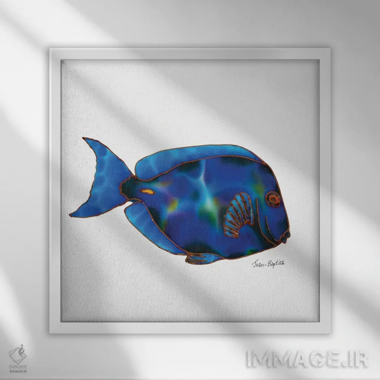 تابلو بلو تَنگ در پسزمینهٔ سفید (نوعی ماهی) اثر دنیل ژان-باپتیست - نمای قابدار سفید