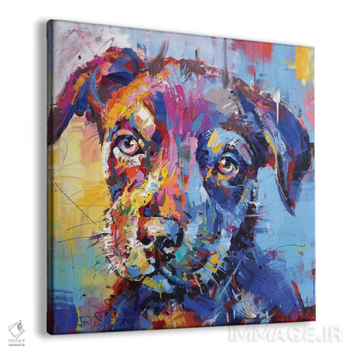 تابلو کلمبیا (سگ گله استرالیایی) اثر ژوس کوفرر - نمای پرسپکتیو محصول