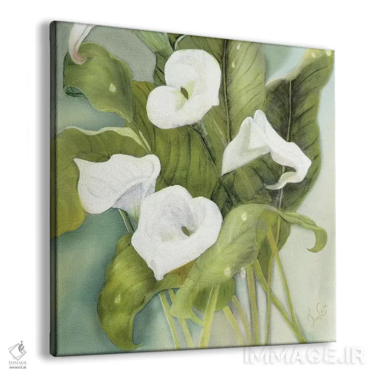 تابلو کالاهای گرمسیری (گل کالا) اثر یان کول - نمای پرسپکتیو محصول