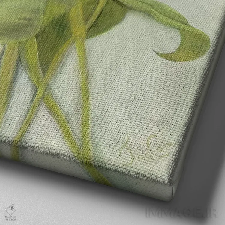 تابلو کالاهای گرمسیری (گل کالا) اثر یان کول - نمای نزدیک بافت بوم