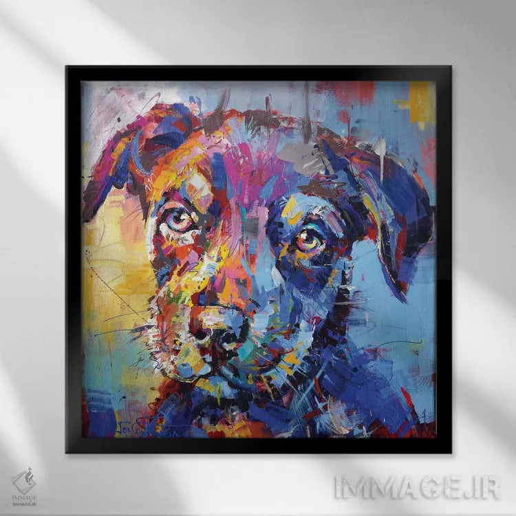 تابلو کلمبیا (سگ گله استرالیایی) اثر ژوس کوفرر - نمای قابدار مشکی