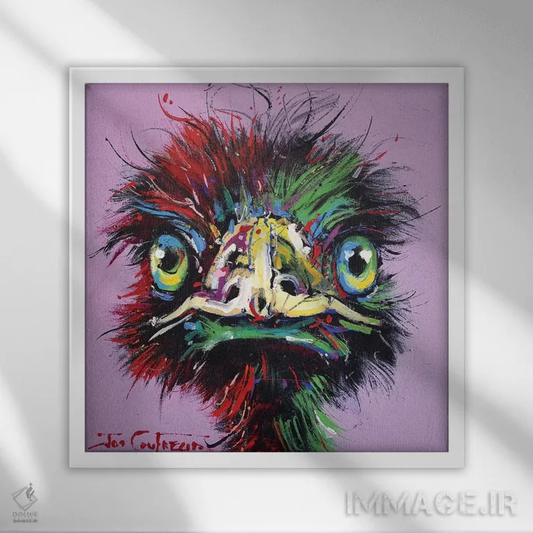 تابلو شترمرغ استرالیایی ۵۸ اثر ژوس کوفرر - نمای قابدار سفید