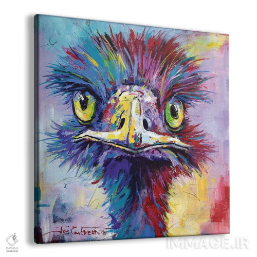 تابلو شترمرغ استرالیایی ۲ اثر ژوس کوفرر - نمای پرسپکتیو محصول