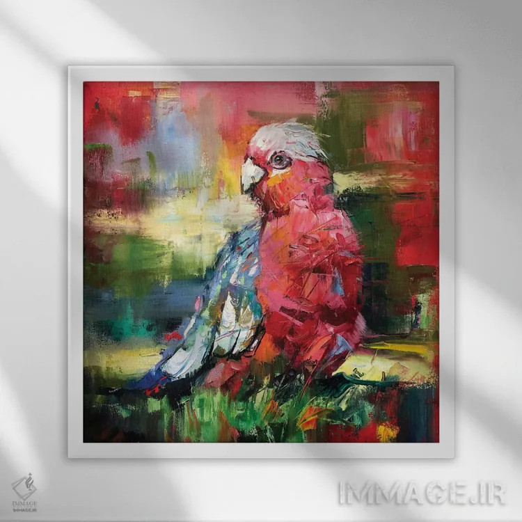 تابلو گالا (پرنده استرالیایی) اثر ژوس کوفرر - نمای قابدار سفید