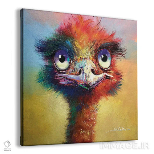 تابلو شترمرغ استرالیایی رنگارنگ اثر ژوس کوفرر - نمای پرسپکتیو محصول