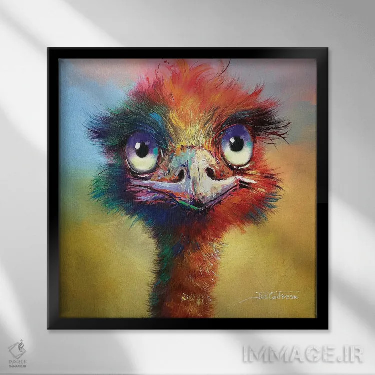 تابلو شترمرغ استرالیایی رنگارنگ اثر ژوس کوفرر - نمای قابدار مشکی