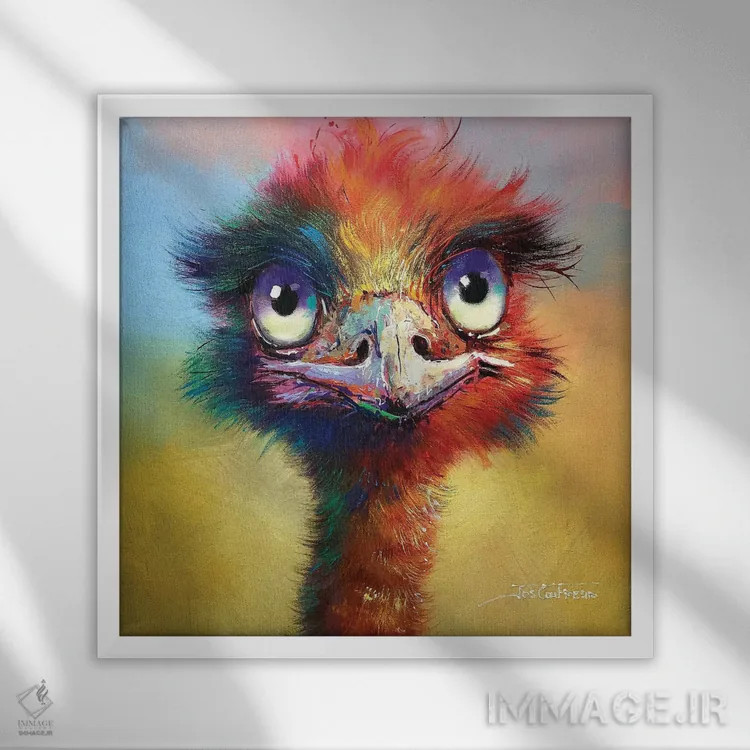 تابلو شترمرغ استرالیایی رنگارنگ اثر ژوس کوفرر - نمای قابدار سفید