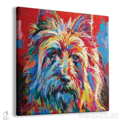 تابلو سیکی تریر استرالیایی (نژاد سگ) اثر ژوس کوفرر - نمای پرسپکتیو محصول