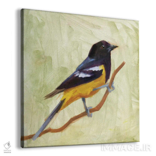 تابلو پرندگان حیاط خلوت I اثر جیکوب گرین - نمای پرسپکتیو محصول