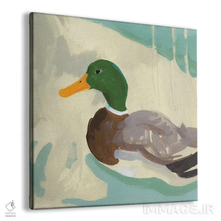تابلو اردک کلهسبز در حال شنا II اثر جیکوب گرین - نمای پرسپکتیو محصول