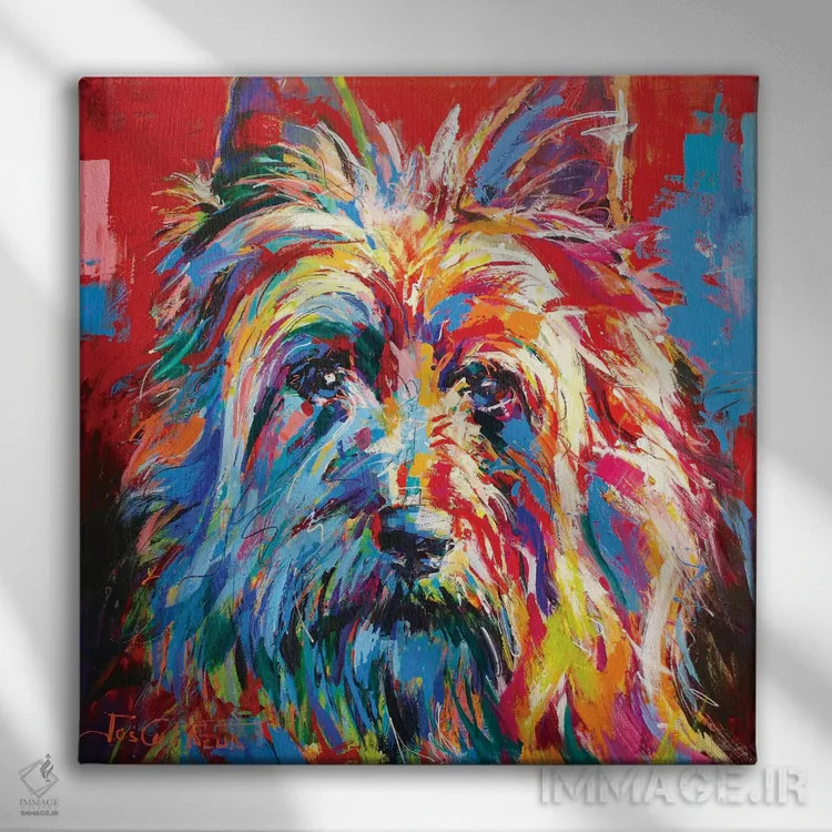 تابلو سیکی تریر استرالیایی (نژاد سگ) اثر ژوس کوفرر - نمای روبهرو روی دیوار