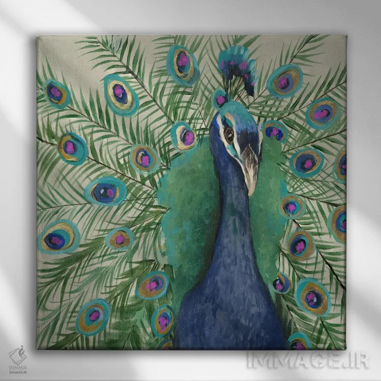 تابلو طاووس پنی اثر جیکوب کیو - نمای روبهرو روی دیوار