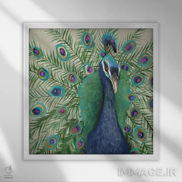 تابلو طاووس پنی اثر جیکوب کیو - نمای قابدار سفید