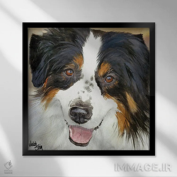 تابلو آزی فوقالعاده (سگ استرالیایی) اثر جودیت استاین - نمای قابدار مشکی