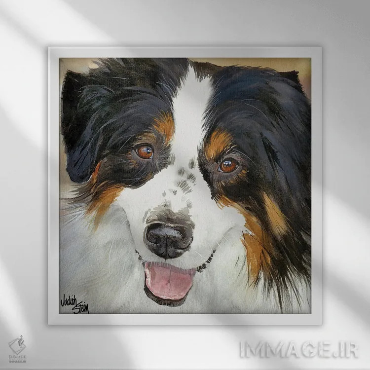 تابلو آزی فوقالعاده (سگ استرالیایی) اثر جودیت استاین - نمای قابدار سفید