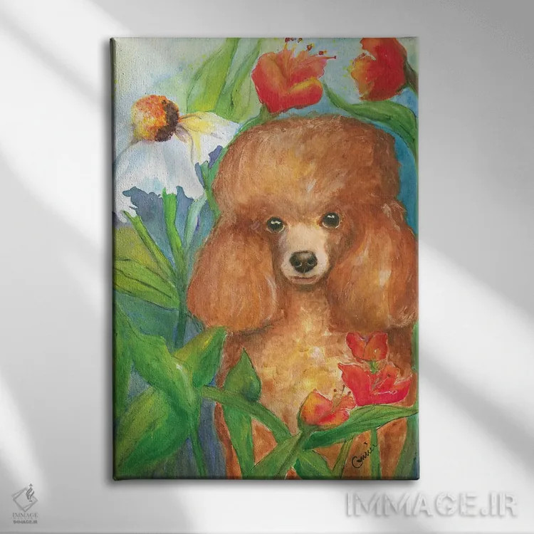 تابلو پودل باغی (نوع سگ) - نمای روبهرو روی دیوار