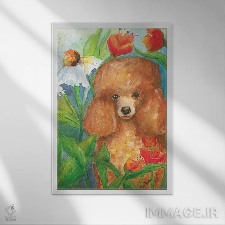 تابلو پودل باغی (نوع سگ) - نمای قابدار سفید