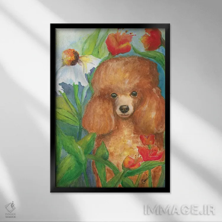 تابلو پودل باغی (نوع سگ) - نمای قابدار مشکی