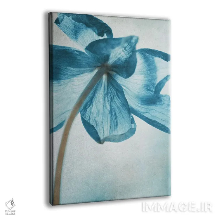 تابلو دکوراتیو شقایق دریایی III اثر کلودیا دروسرت - نمای پرسپکتیو محصول