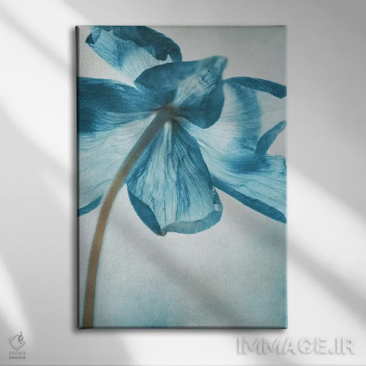 تابلو دکوراتیو شقایق دریایی III اثر کلودیا دروسرت - نمای روبهرو روی دیوار