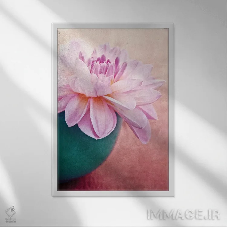 تابلو دکوراتیو زیبایی اثر کلودیا دروسرت - نمای قابدار سفید