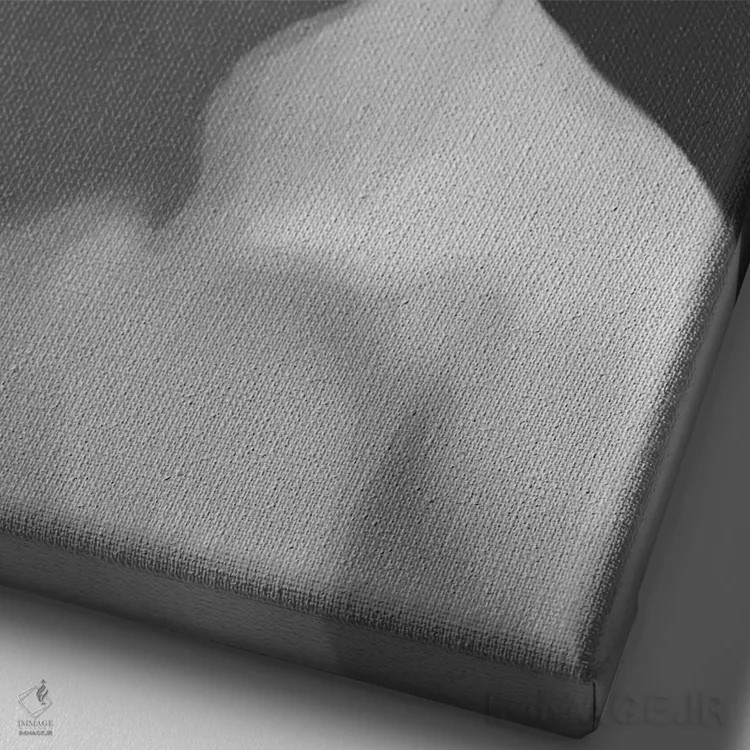 تابلو دکوراتیو زیبایی کلاسیک اثر کریس کنسانی - نمای نزدیک بافت بوم