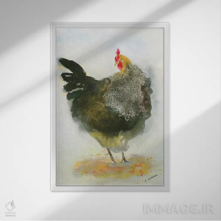 تابلو مدرن مرغ شماره ۱ اثر کانی کالم - نمای قابدار سفید