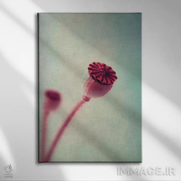 تابلو دکوراتیو غلاف شقایق اثر کلودیا دروسرت - نمای روبهرو روی دیوار